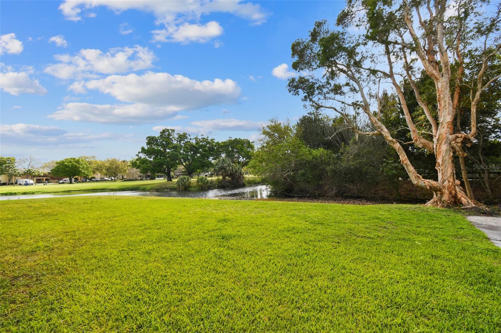 200 COUNTRY CLUB DR #308, LARGO, FL, 33771