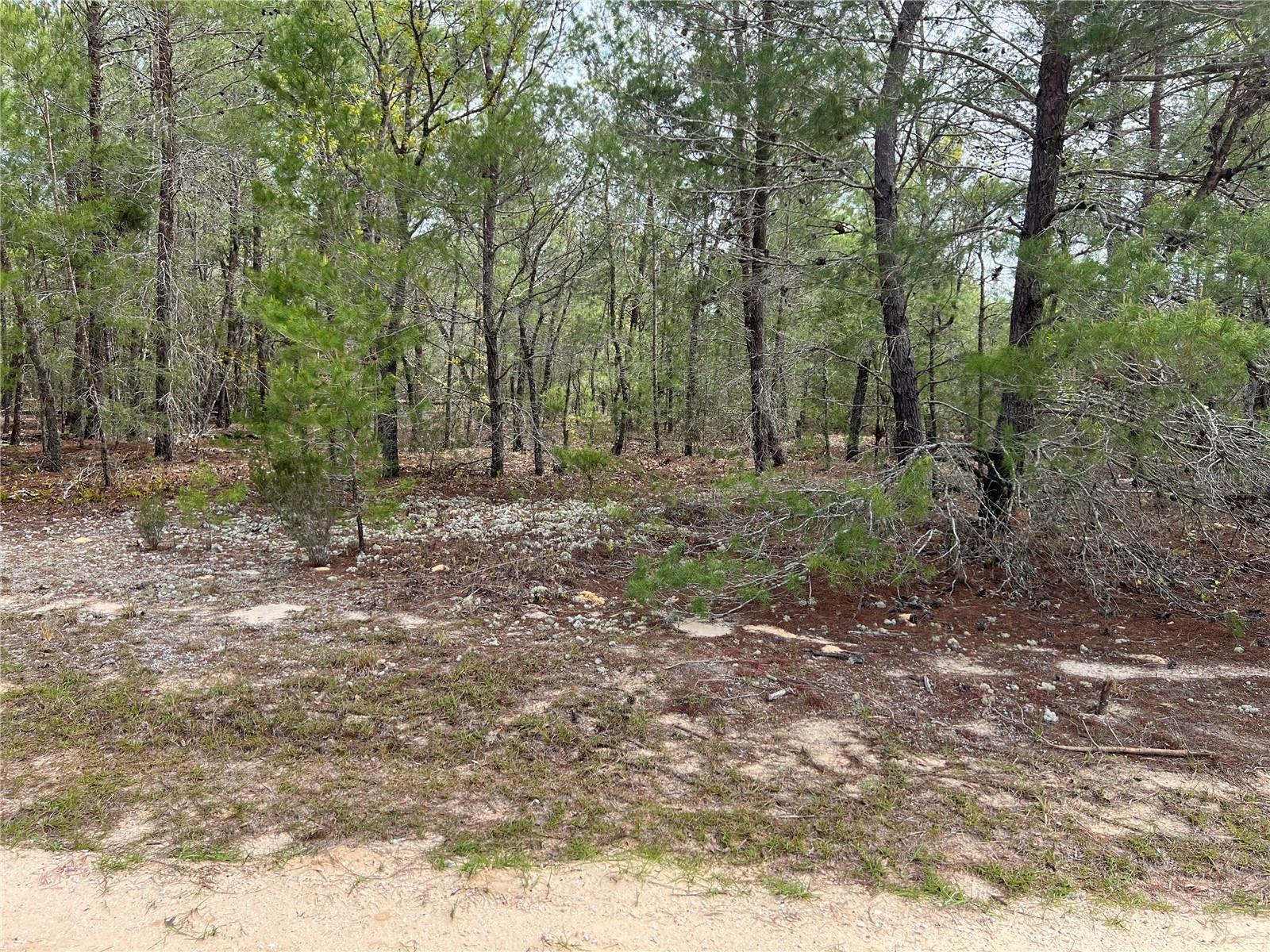 112 MARYLAND AVE, HAWTHORNE, FL, 32640