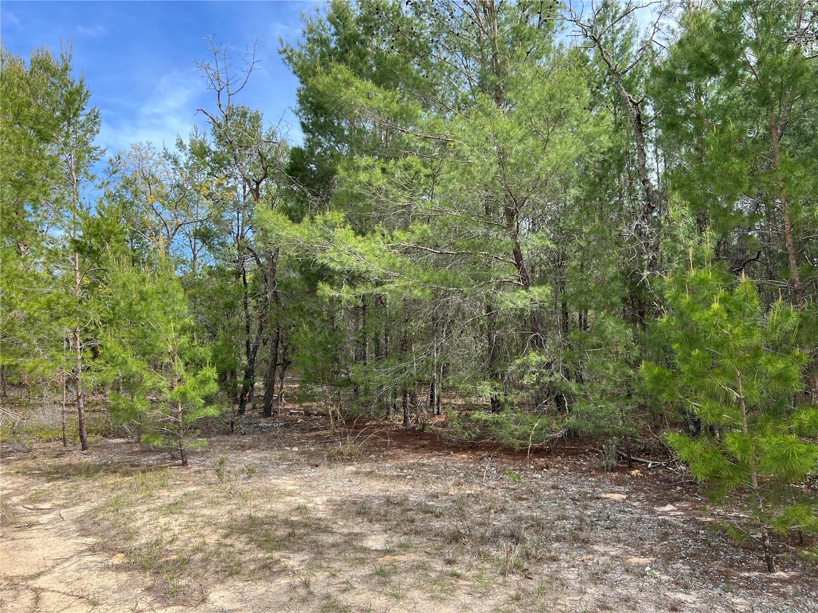 112 MARYLAND AVE, HAWTHORNE, FL, 32640