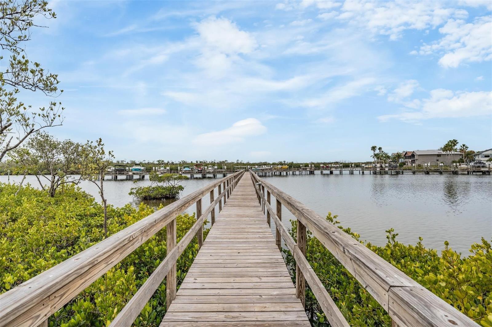 4516 SEAGULL DR #509, NEW PORT RICHEY, FL, 34652
