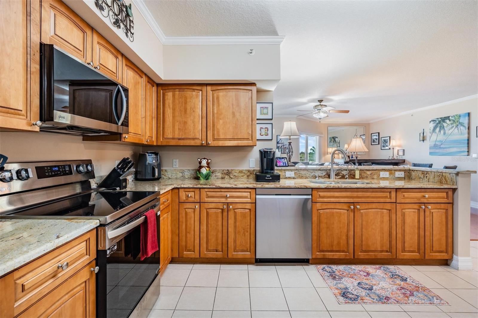 4516 SEAGULL DR #509, NEW PORT RICHEY, FL, 34652