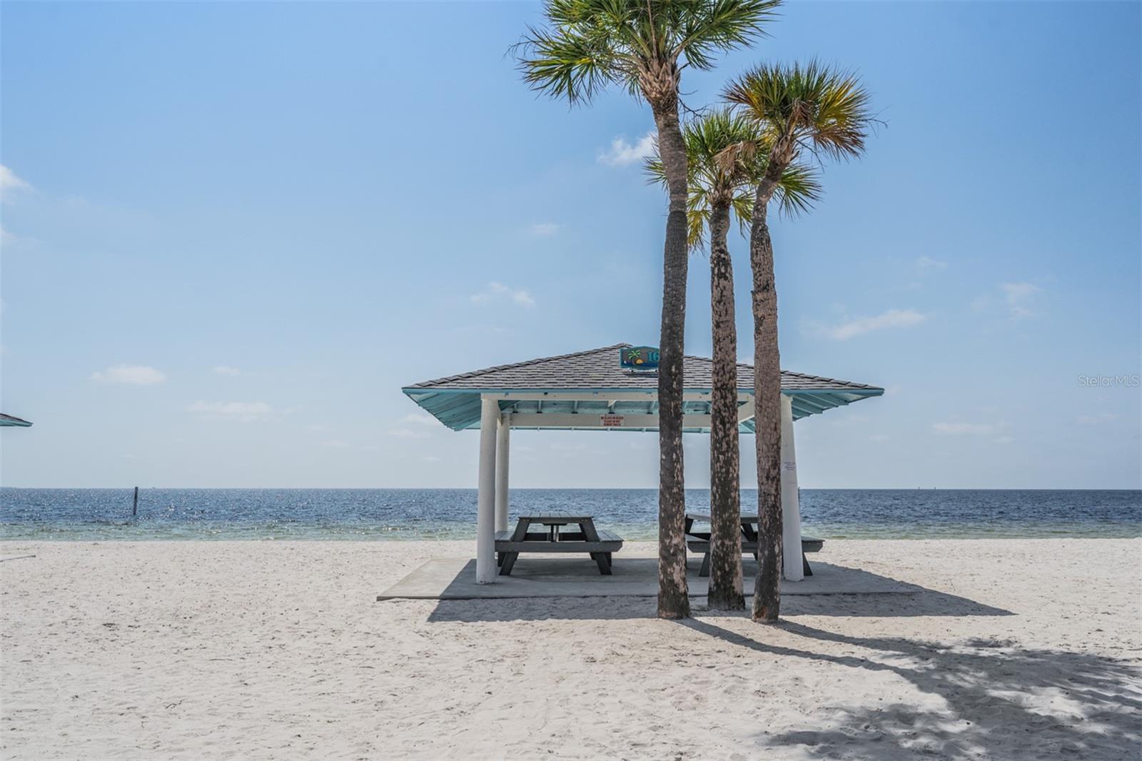 4516 SEAGULL DR #509, NEW PORT RICHEY, FL, 34652