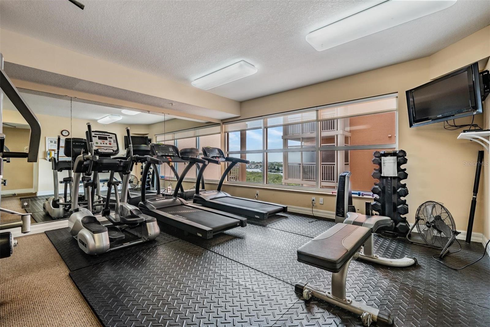 4516 SEAGULL DR #509, NEW PORT RICHEY, FL, 34652