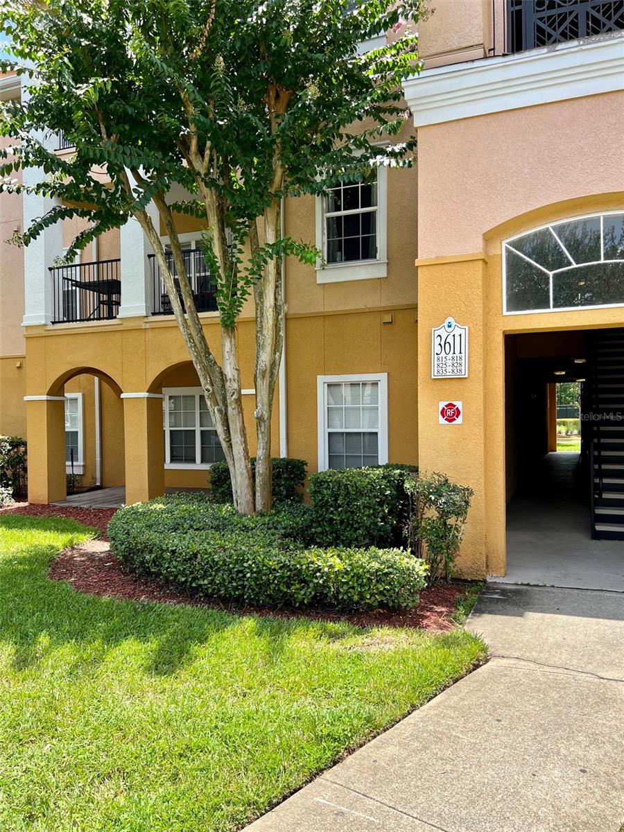 3611 CONROY RD #815, ORLANDO, FL, 32839