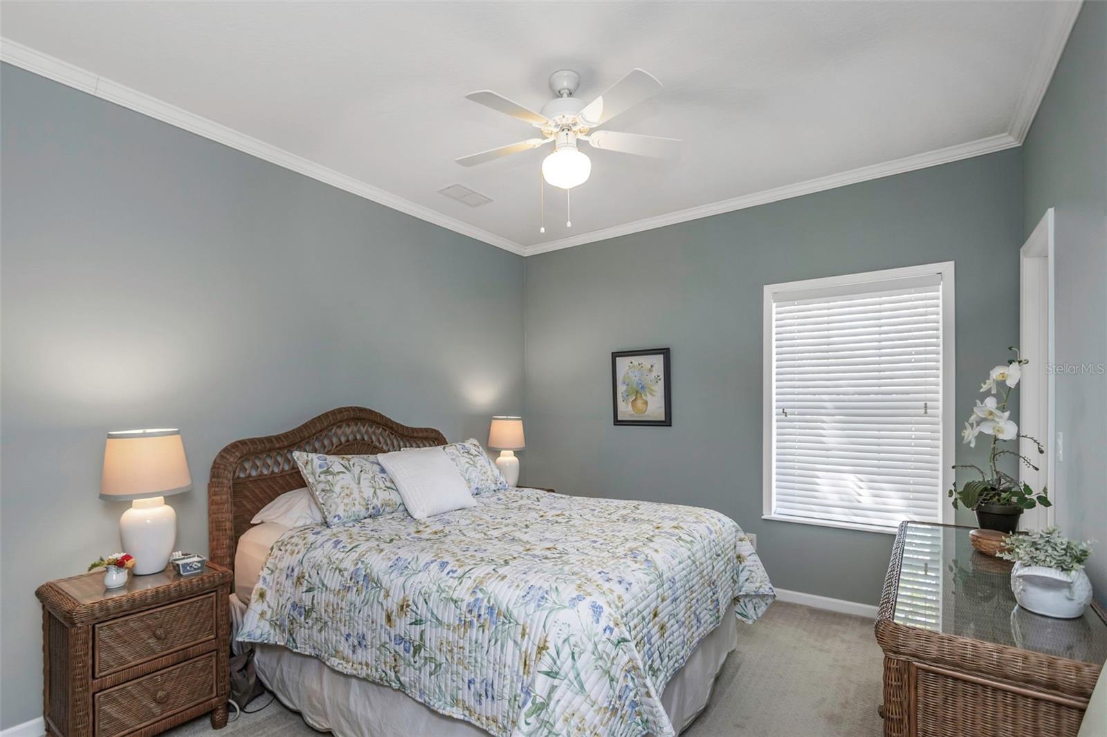 117 FREEDOM CT #25, PALM HARBOR, FL, 34684
