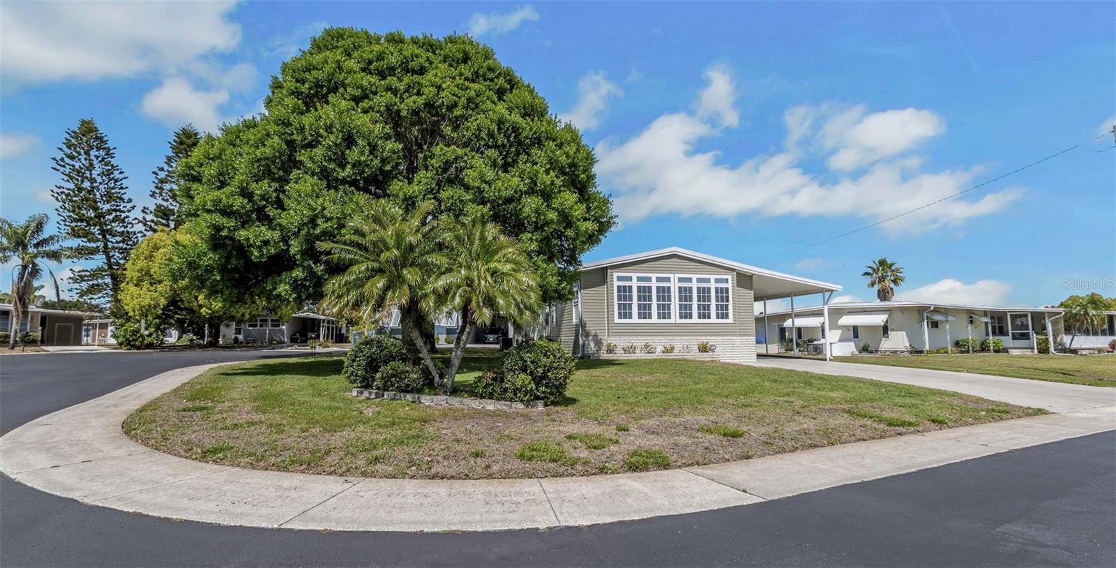 117 FREEDOM CT #25, PALM HARBOR, FL, 34684