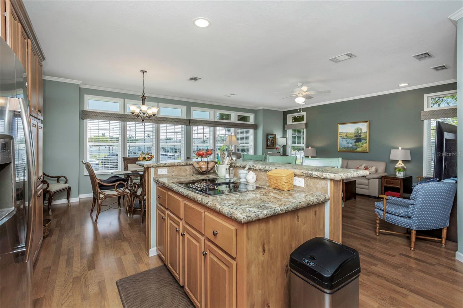 117 FREEDOM CT #25, PALM HARBOR, FL, 34684