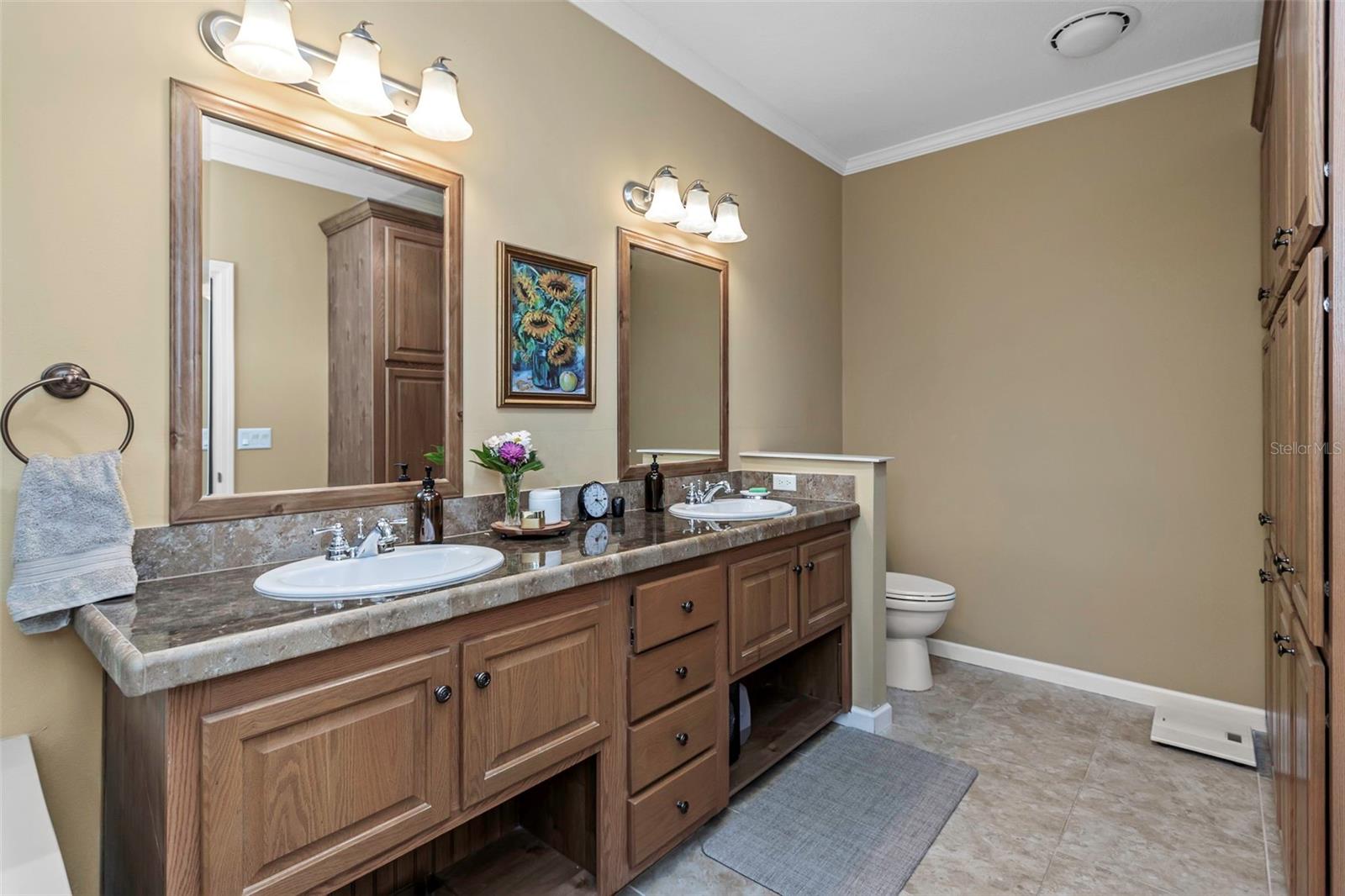 117 FREEDOM CT #25, PALM HARBOR, FL, 34684