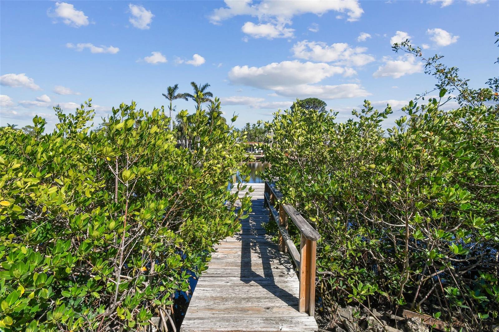 1516 MASSACHUSETTS AVE NE, ST PETERSBURG, FL, 33703