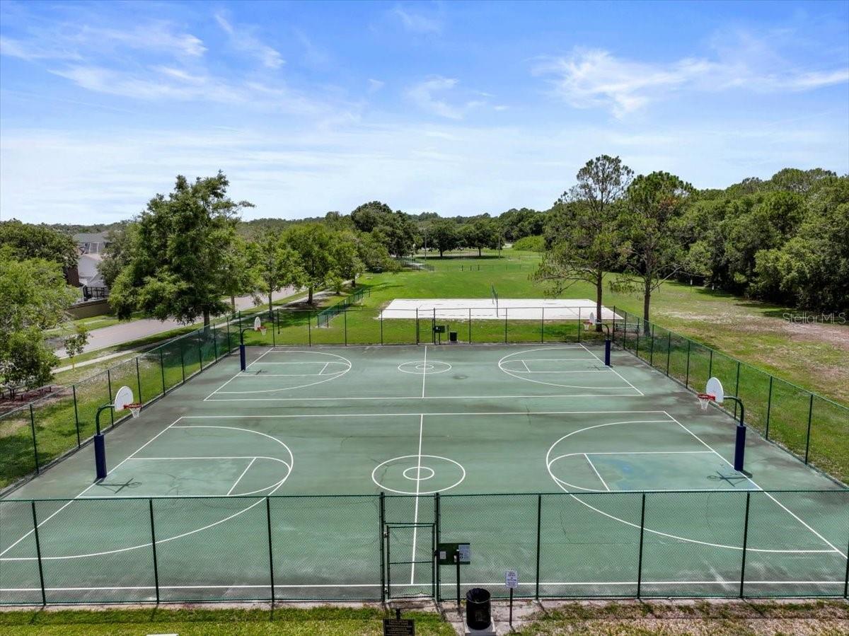 11519 GLENMONT DR, TAMPA, FL, 33635