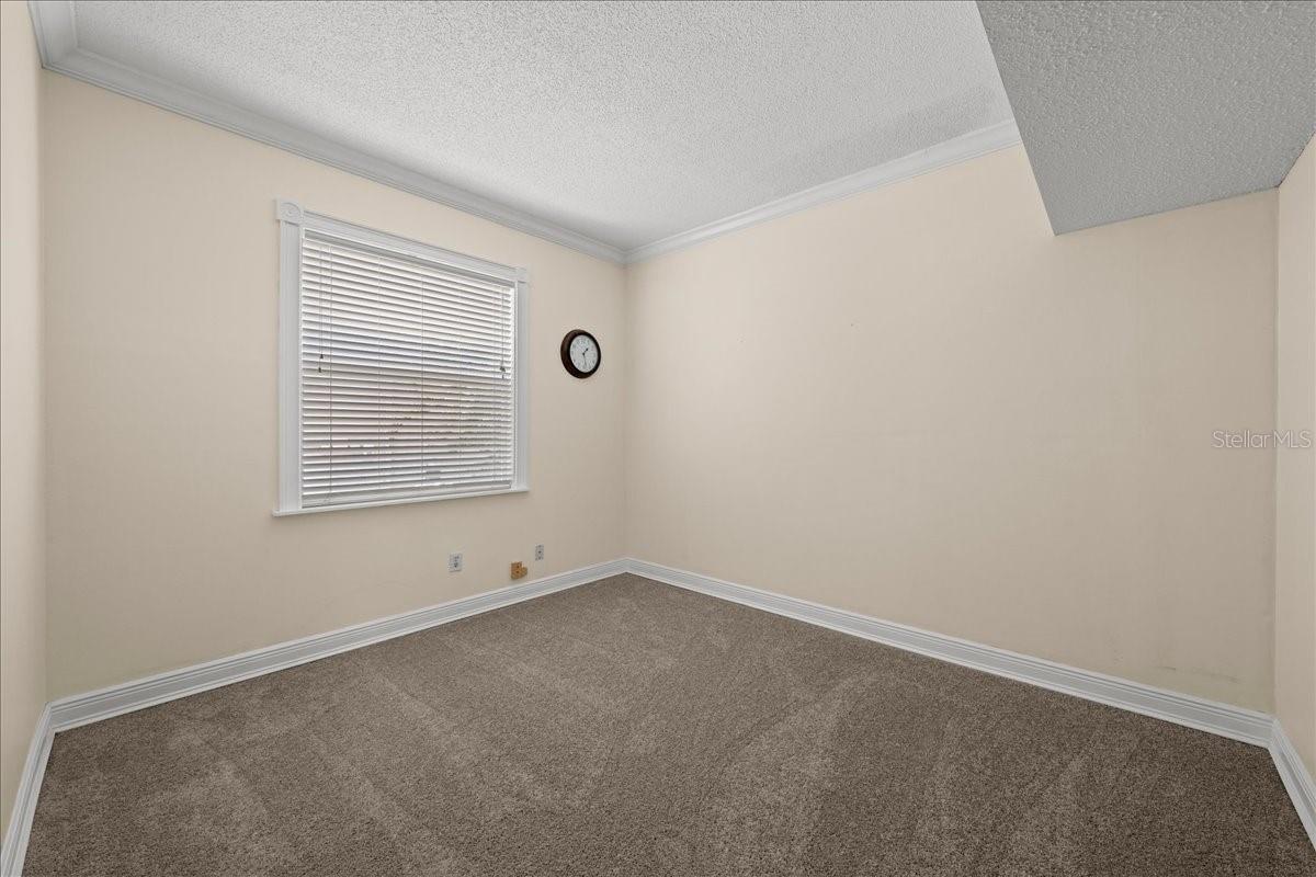 11519 GLENMONT DR, TAMPA, FL, 33635