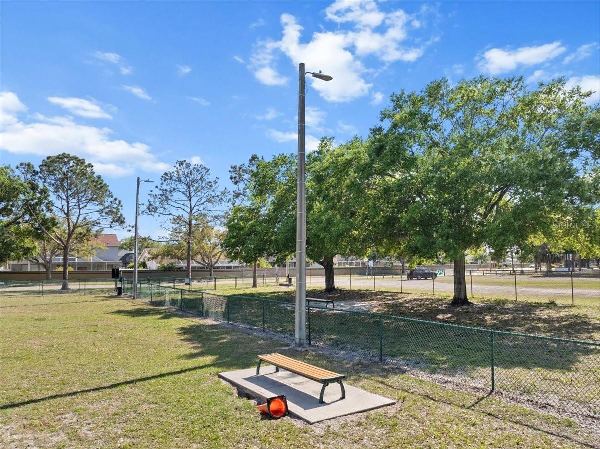 11519 GLENMONT DR, TAMPA, FL, 33635