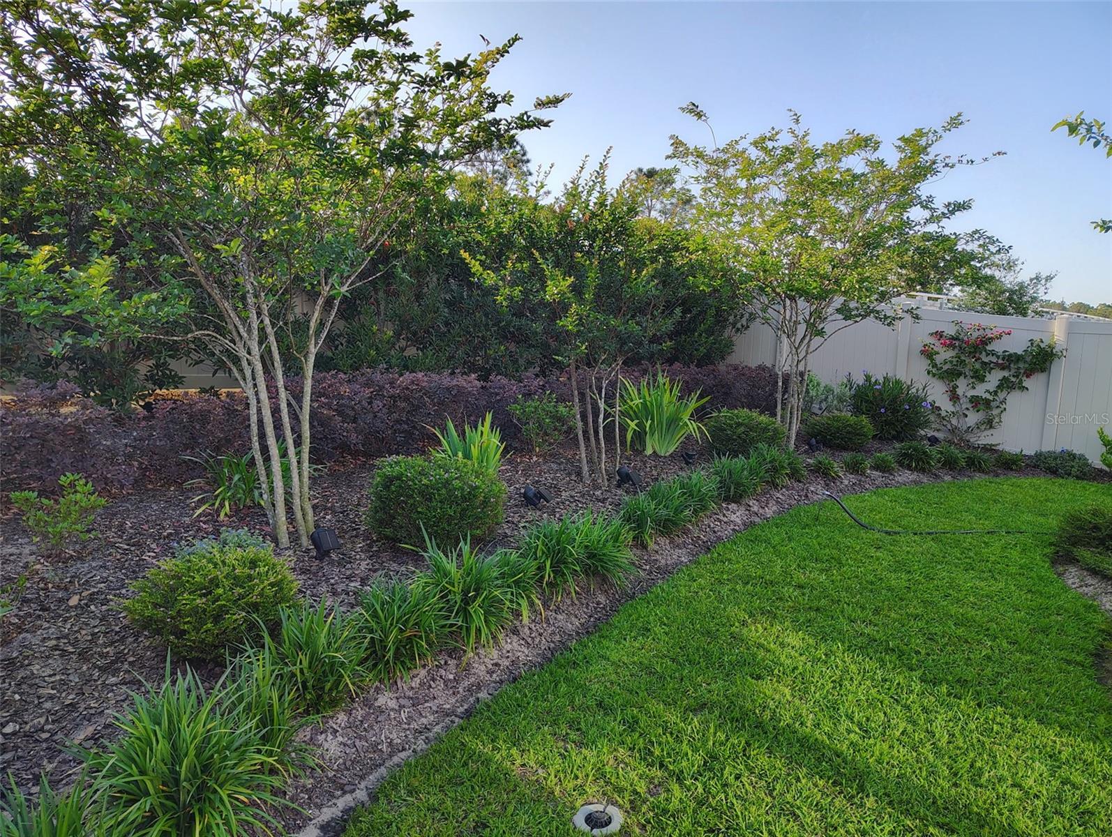 7737 SAIL CLOVER LN, ZEPHYRHILLS, FL, 33540