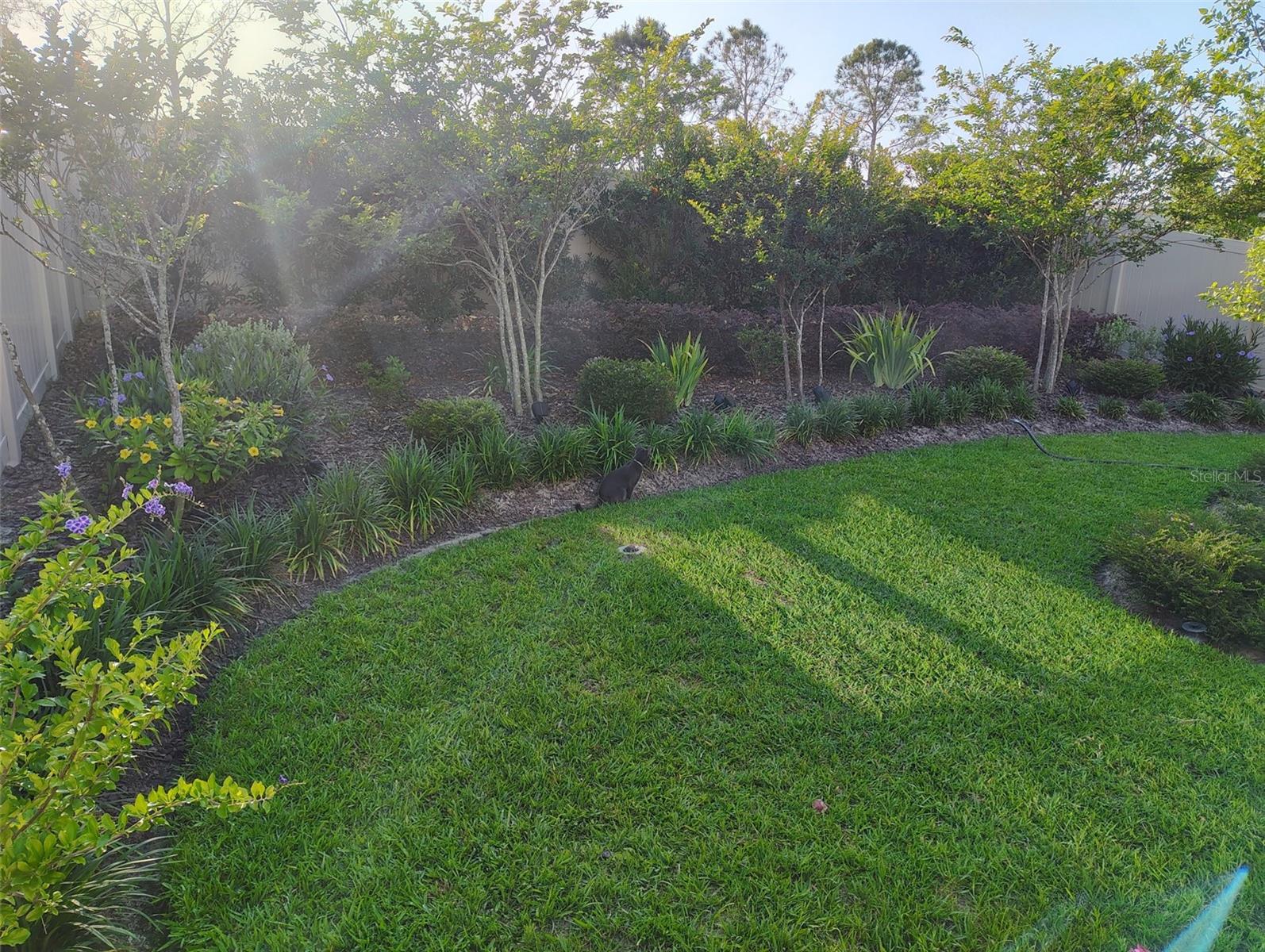 7737 SAIL CLOVER LN, ZEPHYRHILLS, FL, 33540