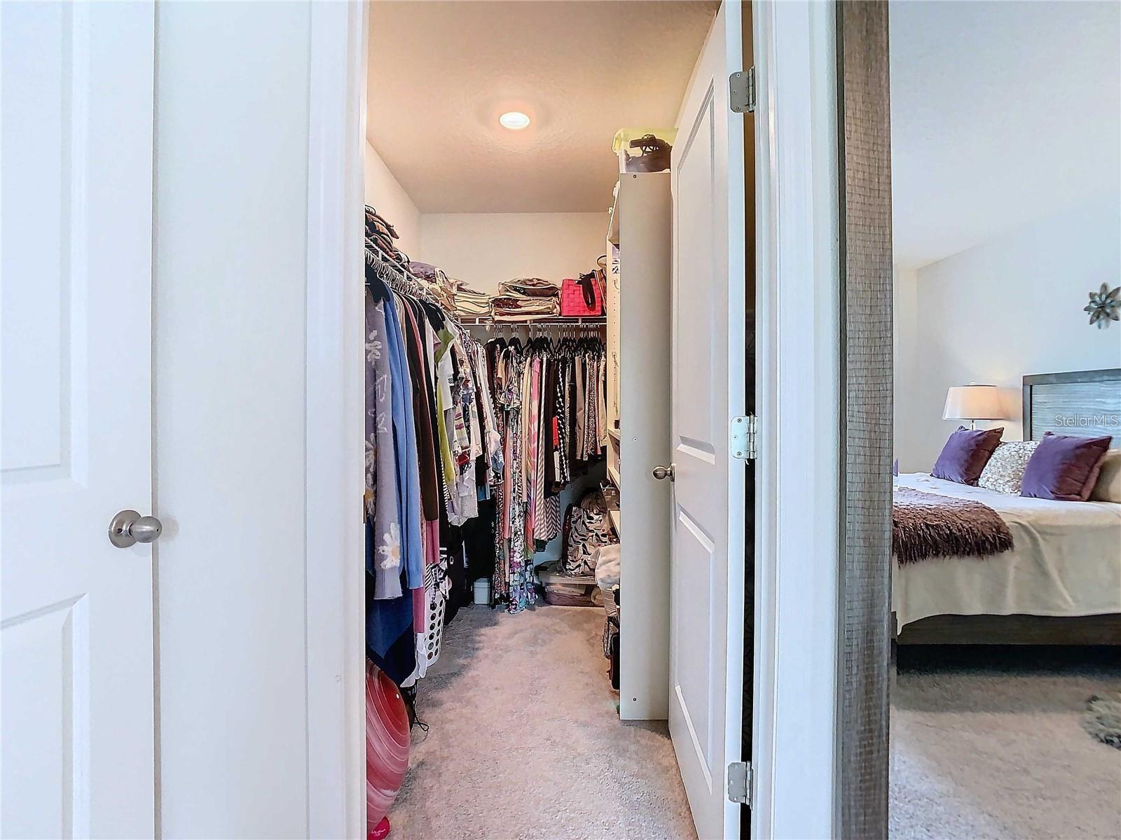 7737 SAIL CLOVER LN, ZEPHYRHILLS, FL, 33540