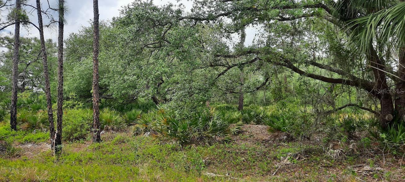 OLEANDER DR, INDIAN LAKE ESTATES, FL, 33855