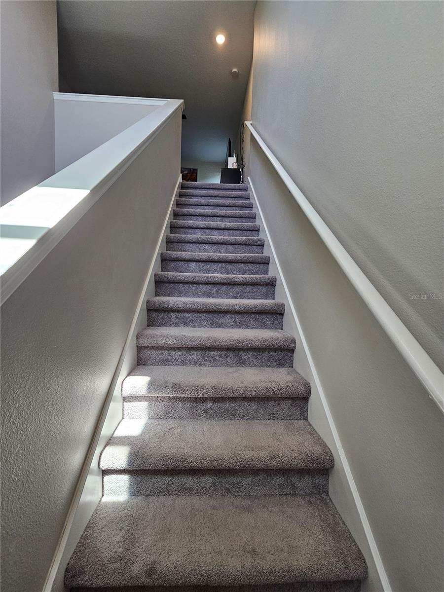 7306 PEARLY EVERLASTING AVE, TAMPA, FL, 33619