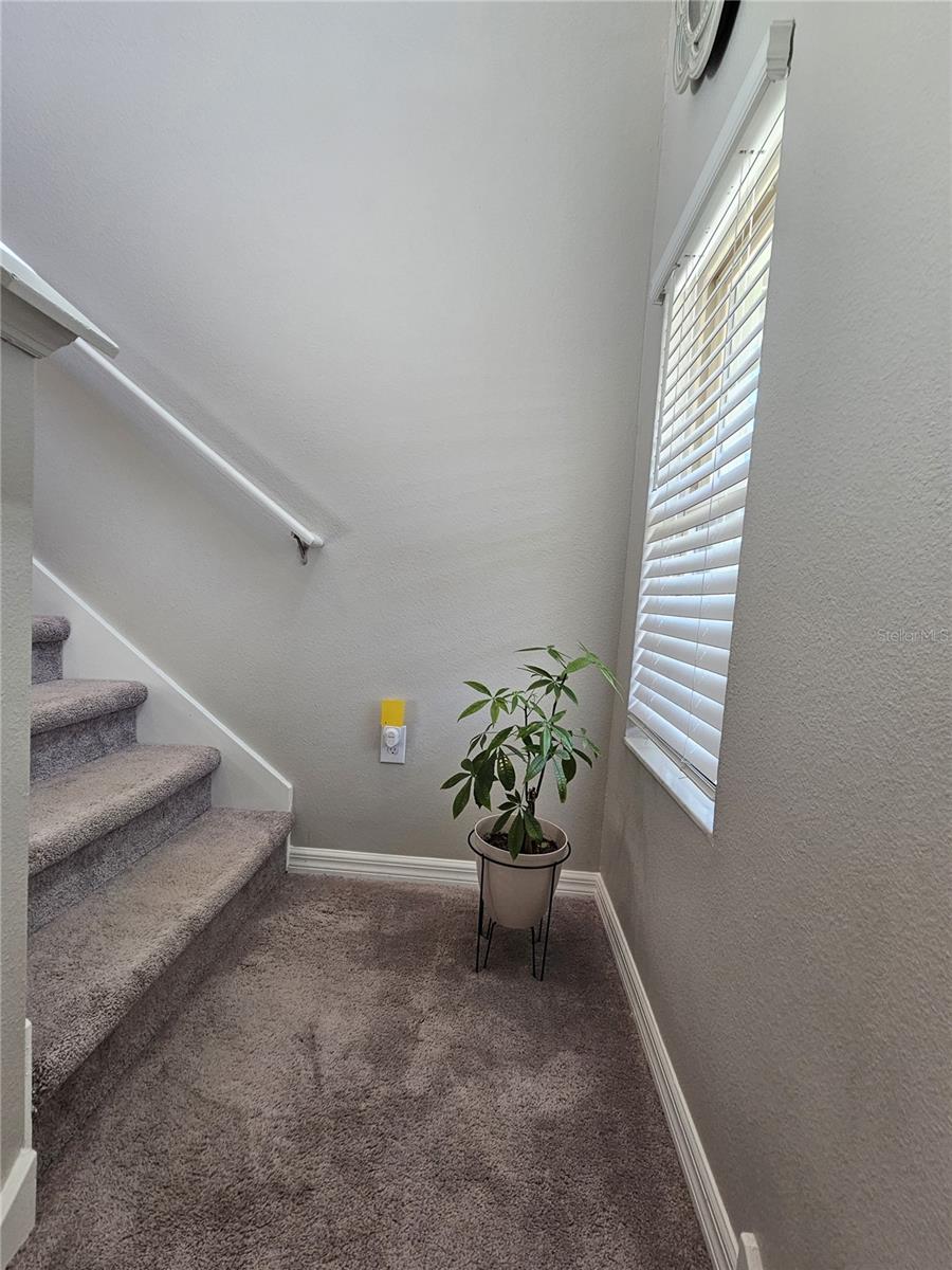 7306 PEARLY EVERLASTING AVE, TAMPA, FL, 33619