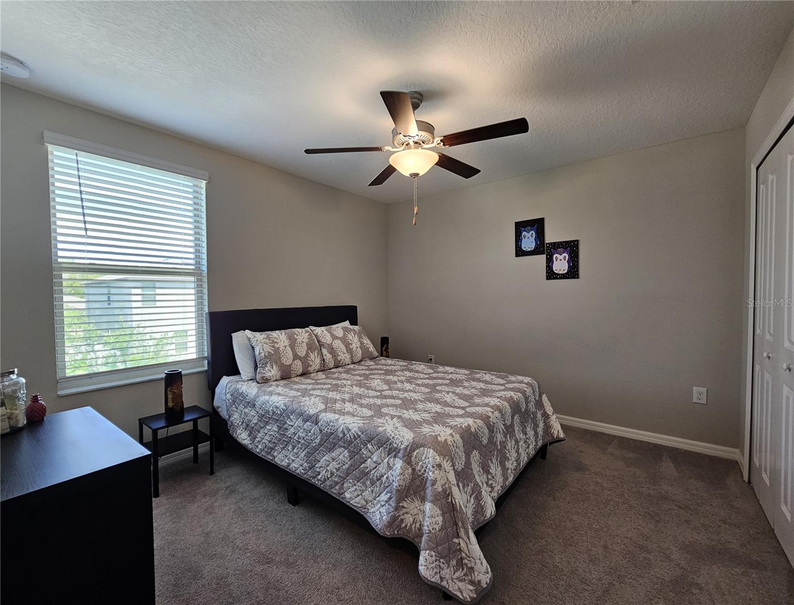 7306 PEARLY EVERLASTING AVE, TAMPA, FL, 33619