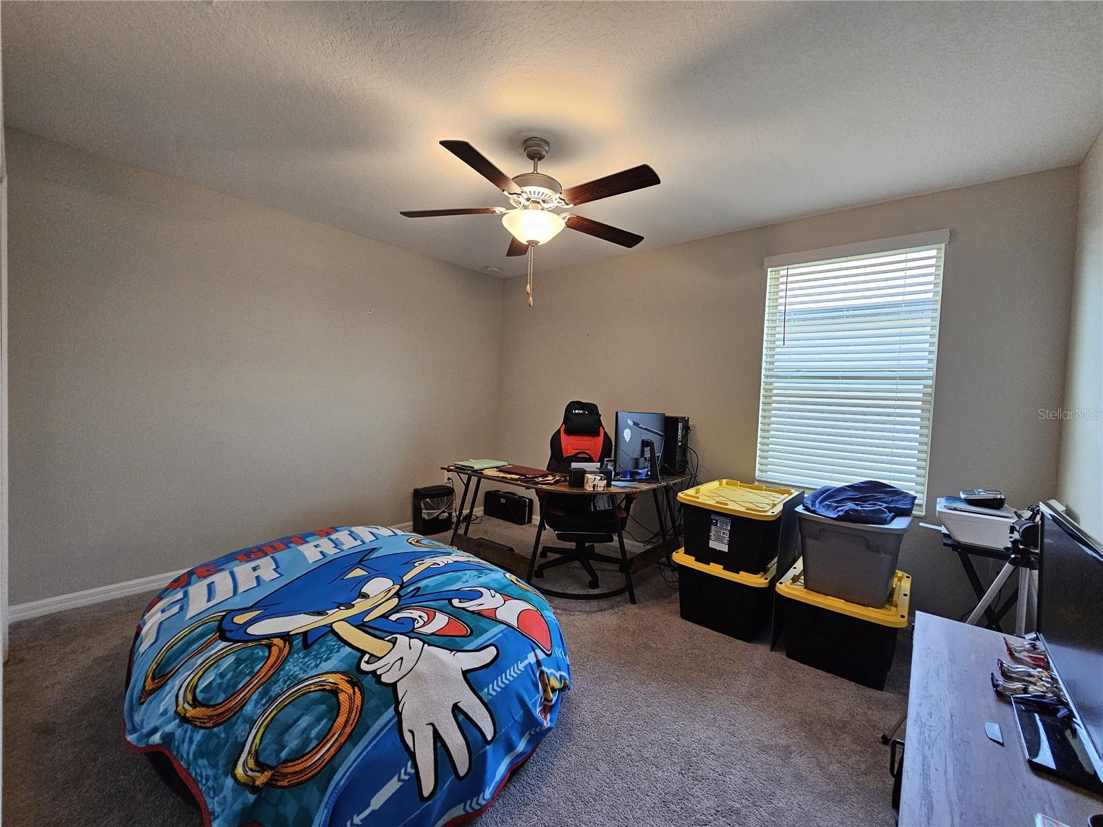 7306 PEARLY EVERLASTING AVE, TAMPA, FL, 33619