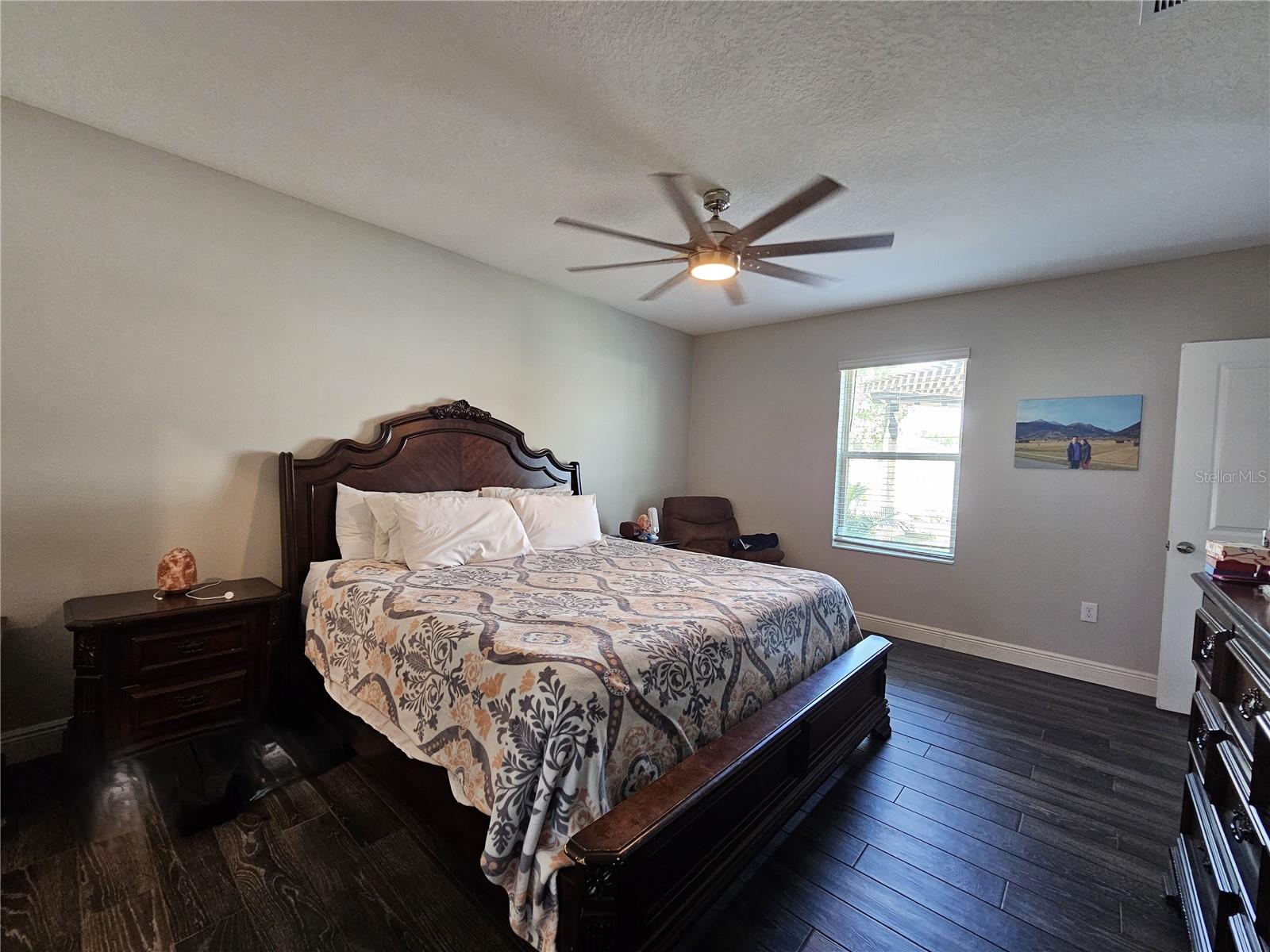 7306 PEARLY EVERLASTING AVE, TAMPA, FL, 33619