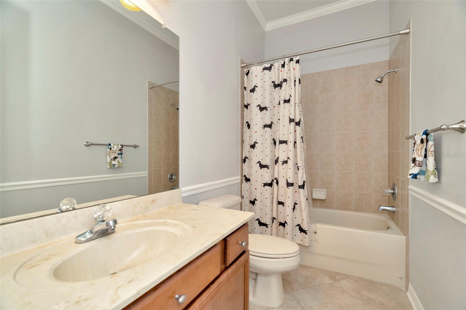 7051 DERWENT GLEN CIR, LAND O LAKES, FL, 34637