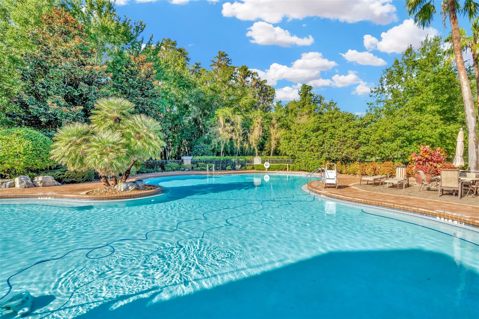 7051 DERWENT GLEN CIR, LAND O LAKES, FL, 34637