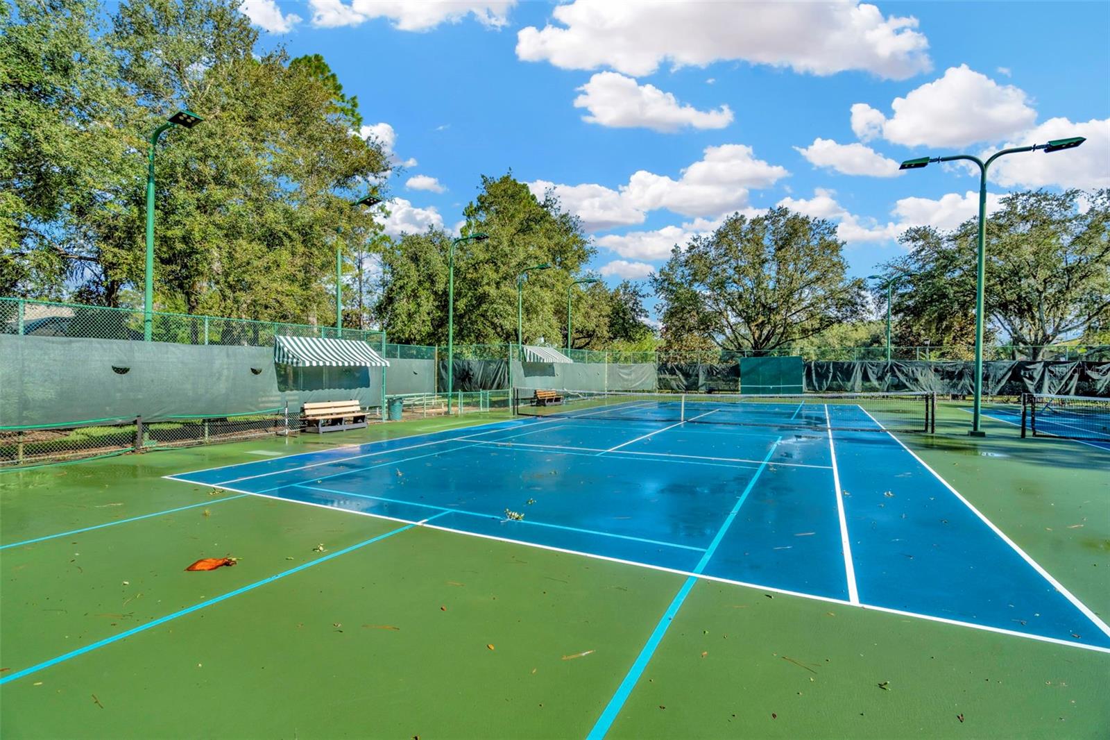 7051 DERWENT GLEN CIR, LAND O LAKES, FL, 34637