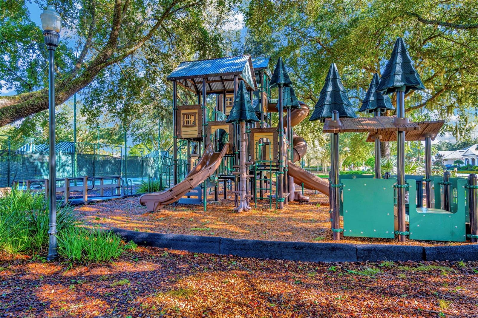 7051 DERWENT GLEN CIR, LAND O LAKES, FL, 34637
