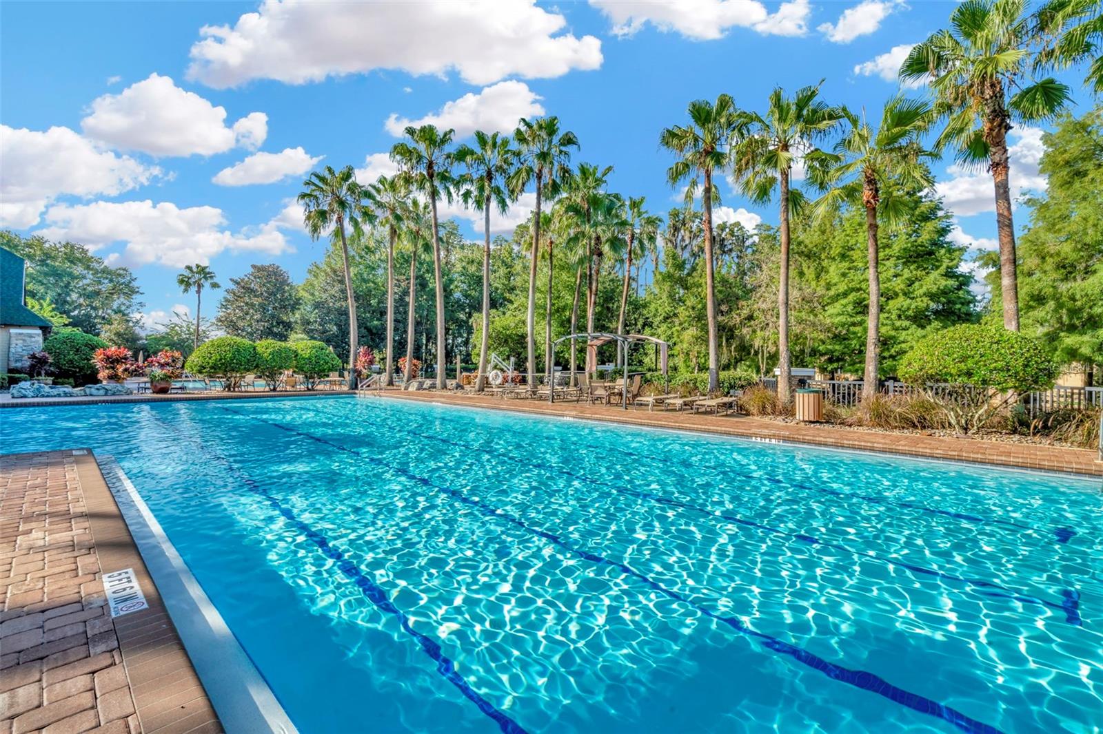 7051 DERWENT GLEN CIR, LAND O LAKES, FL, 34637