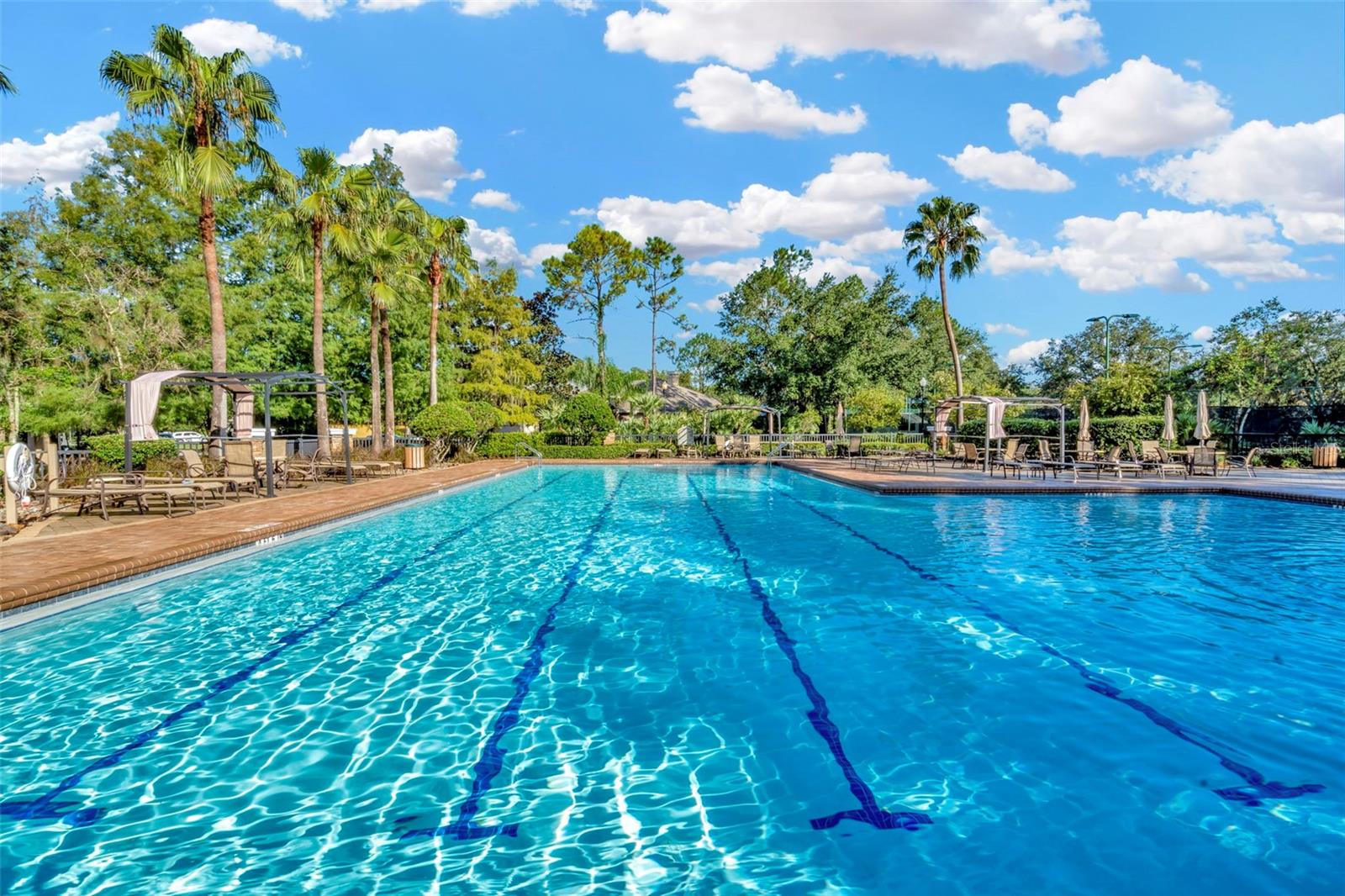 7051 DERWENT GLEN CIR, LAND O LAKES, FL, 34637