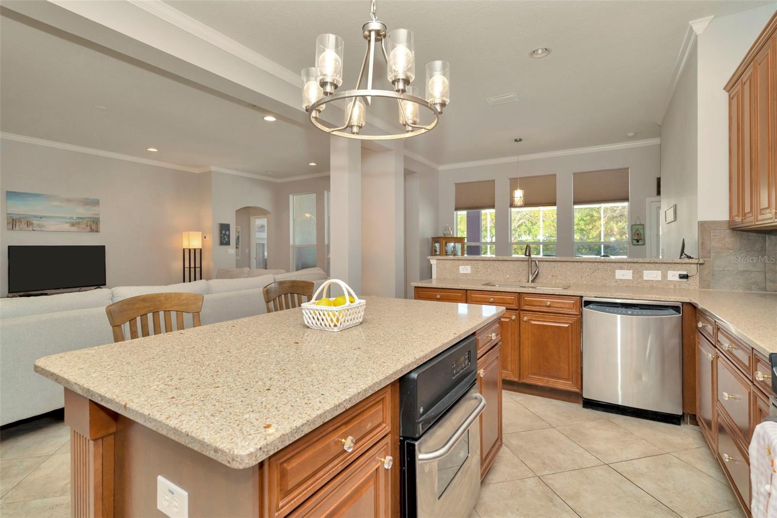 7051 DERWENT GLEN CIR, LAND O LAKES, FL, 34637