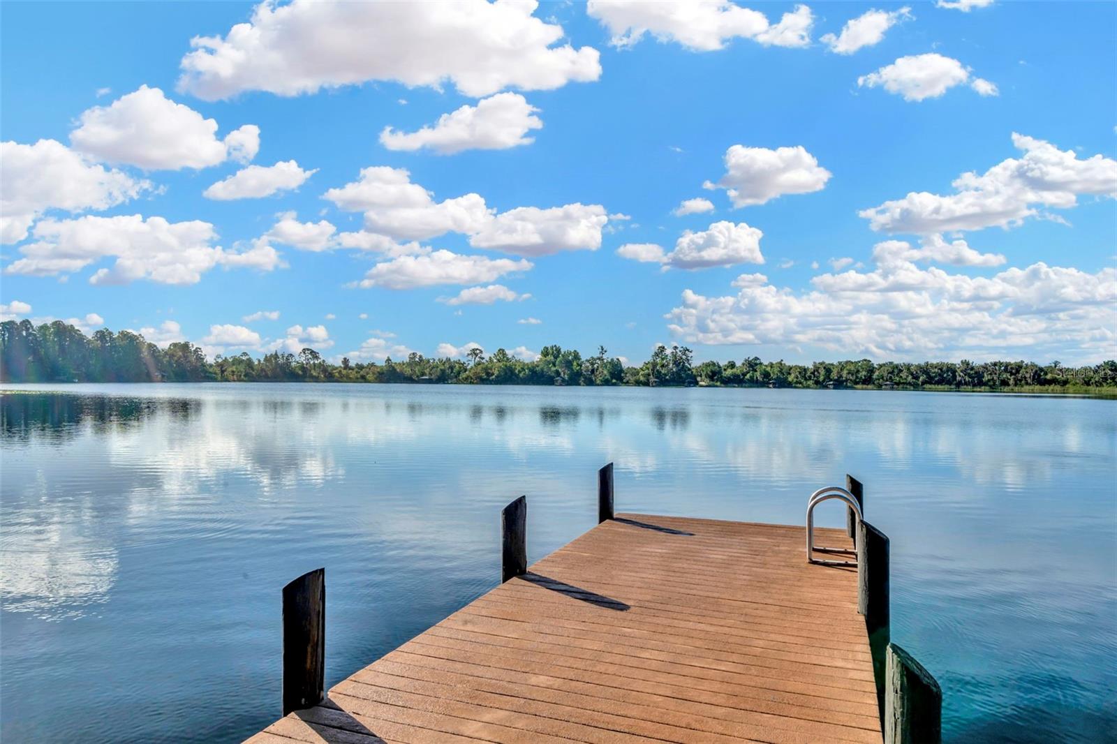 7051 DERWENT GLEN CIR, LAND O LAKES, FL, 34637