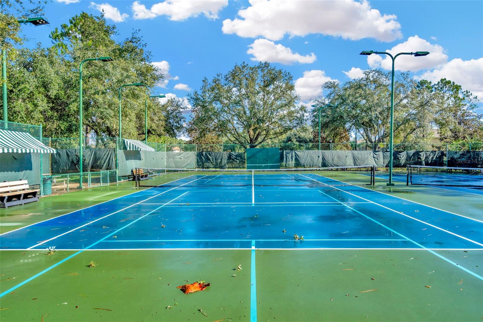 7051 DERWENT GLEN CIR, LAND O LAKES, FL, 34637