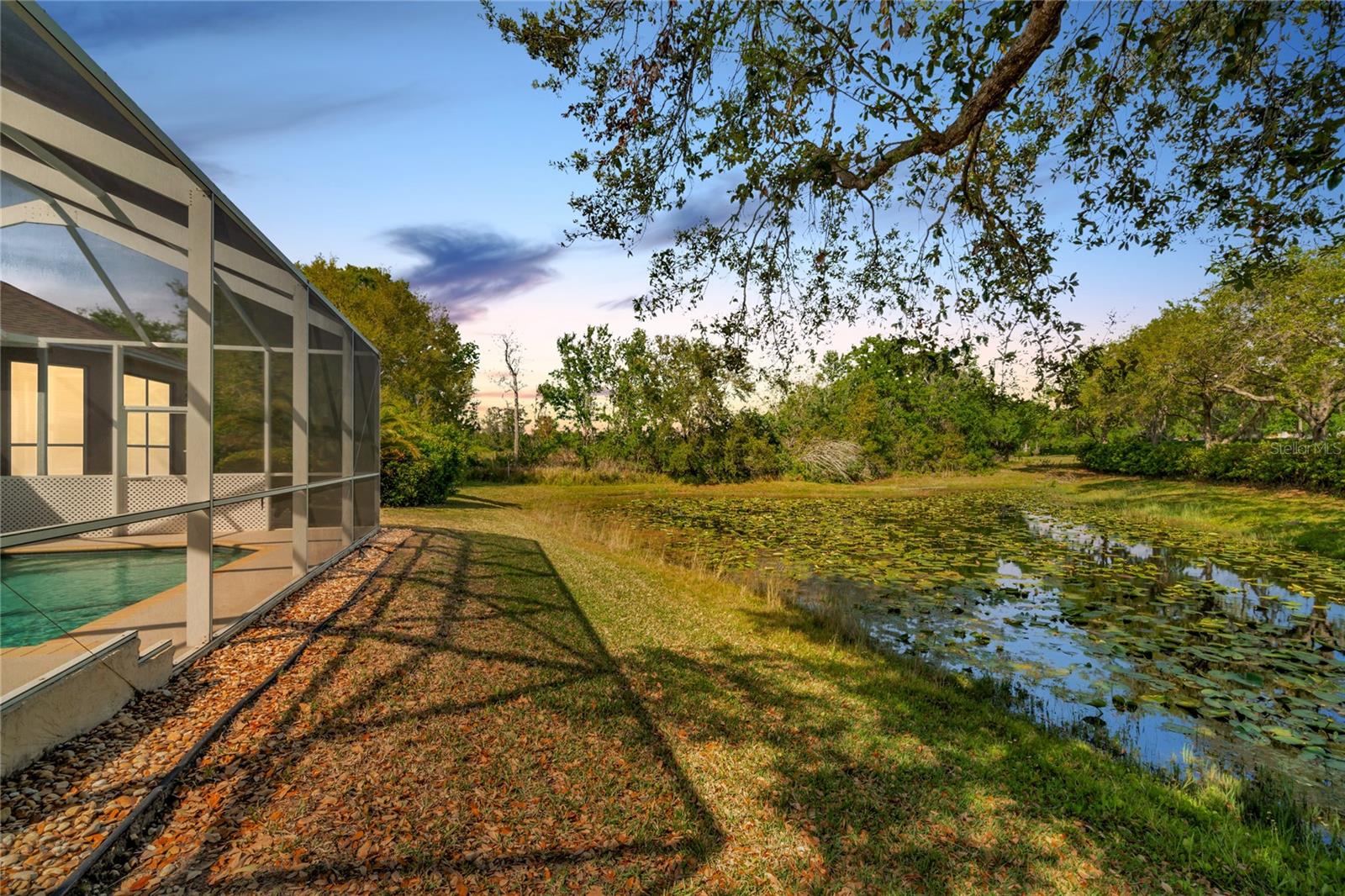 7051 DERWENT GLEN CIR, LAND O LAKES, FL, 34637