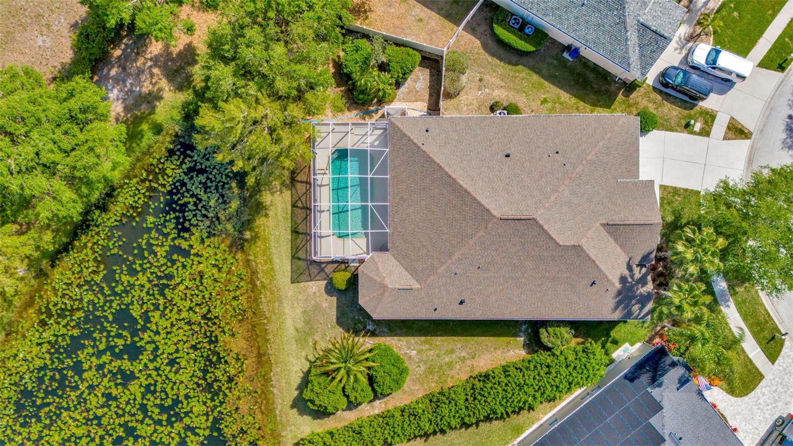 7051 DERWENT GLEN CIR, LAND O LAKES, FL, 34637