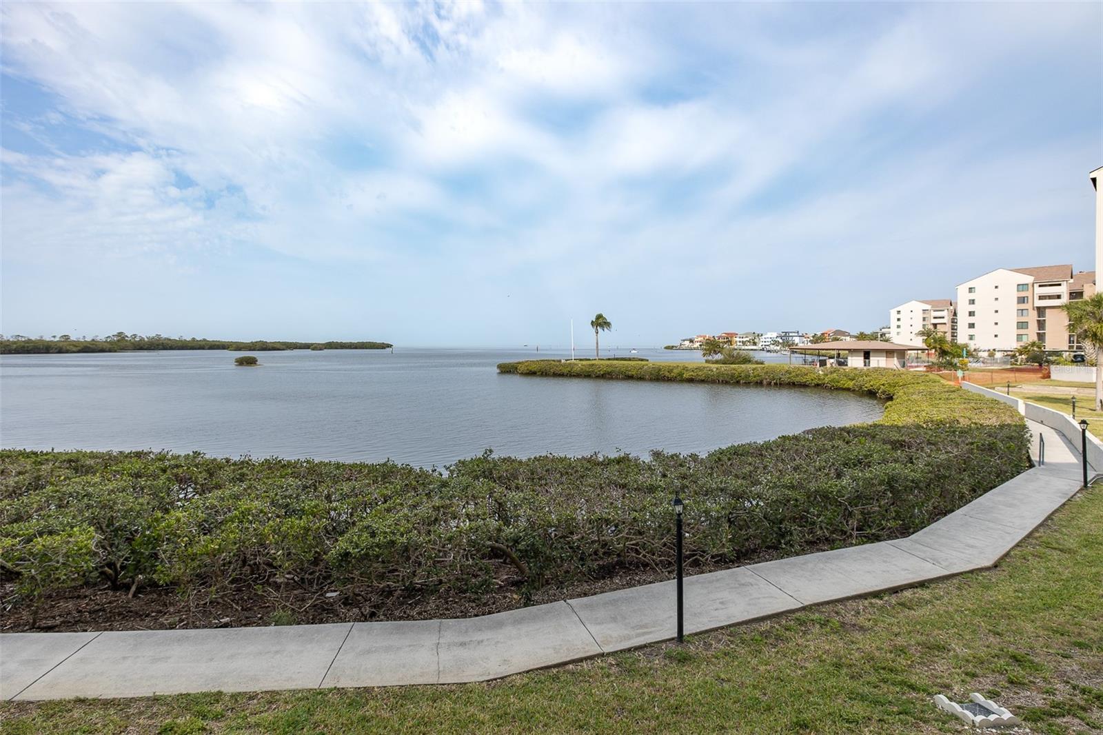 8251 BRENT ST #918, PORT RICHEY, FL, 34668