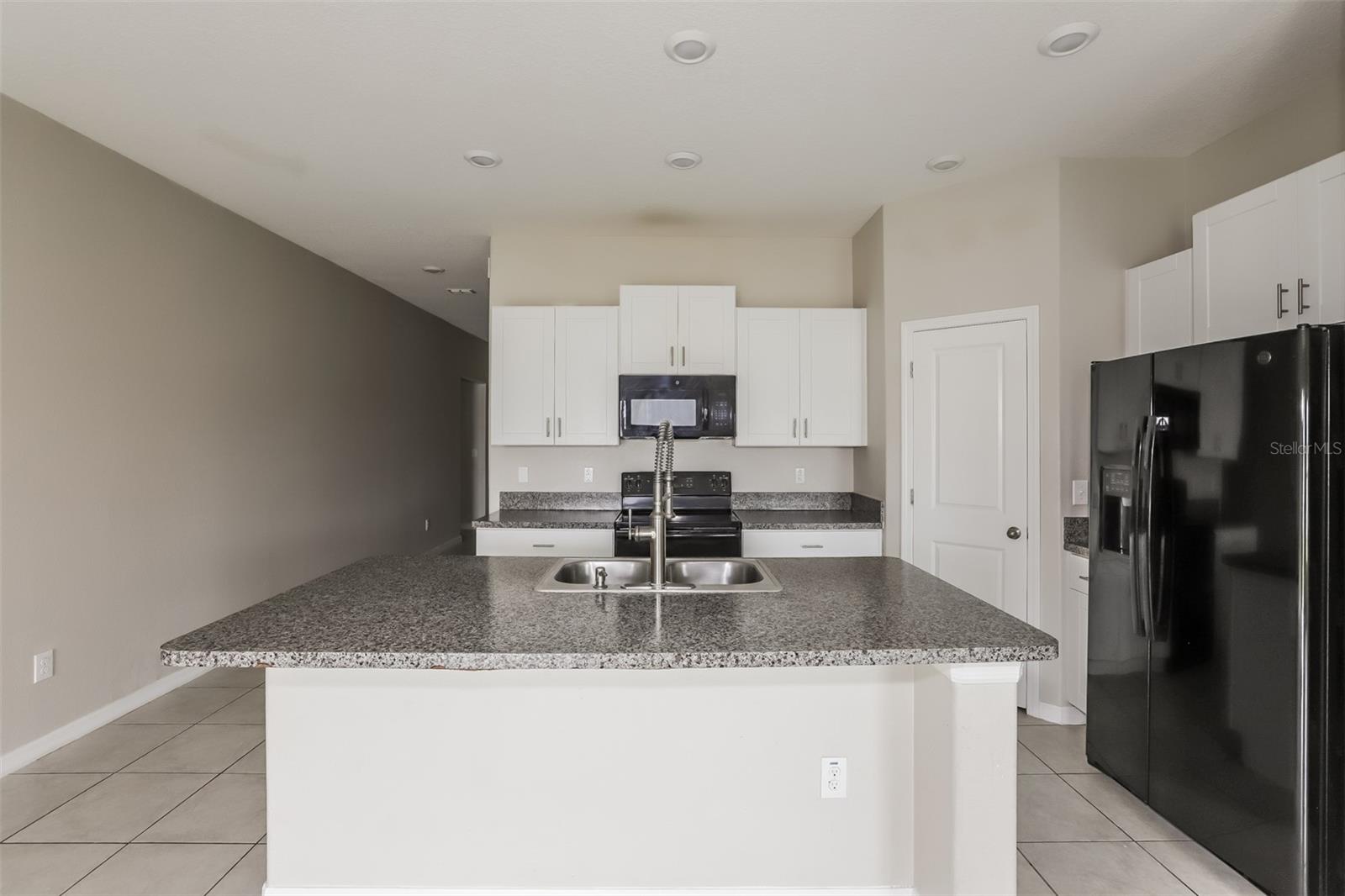 13607 WILLOW BLUESTAR LOOP, RIVERVIEW, FL, 33579