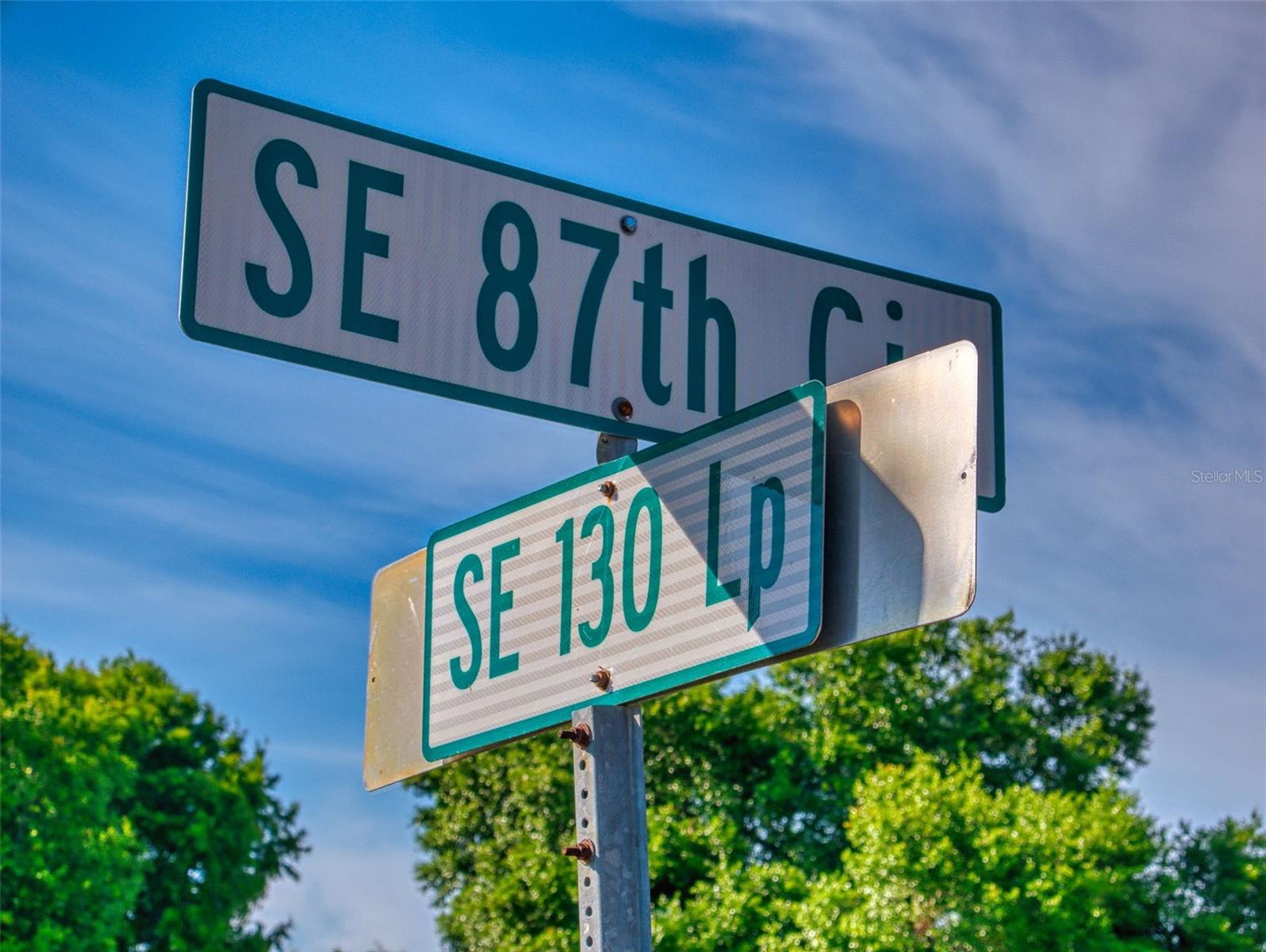 9172 SE 130TH LOOP, SUMMERFIELD, FL, 34491