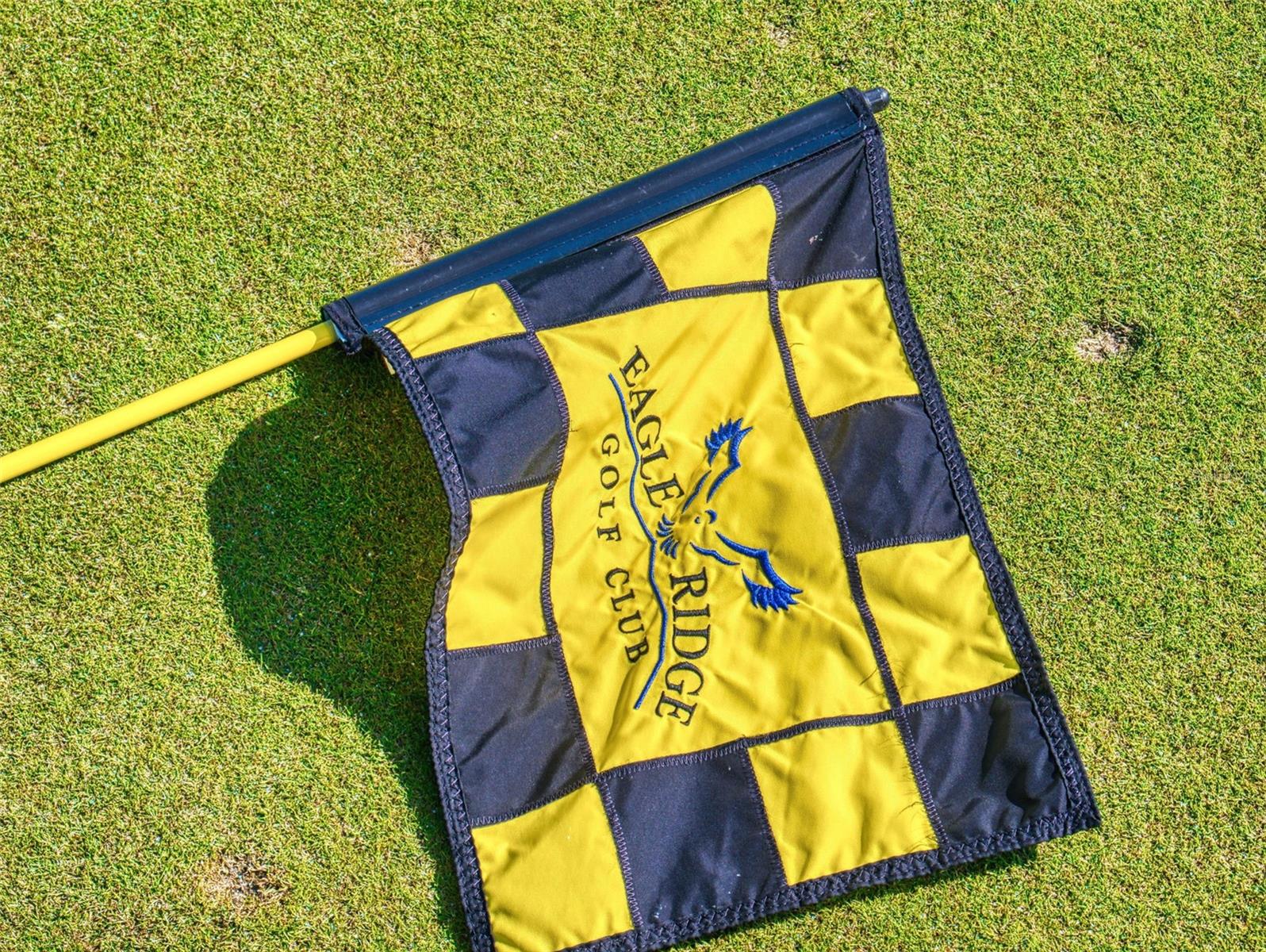 9172 SE 130TH LOOP, SUMMERFIELD, FL, 34491