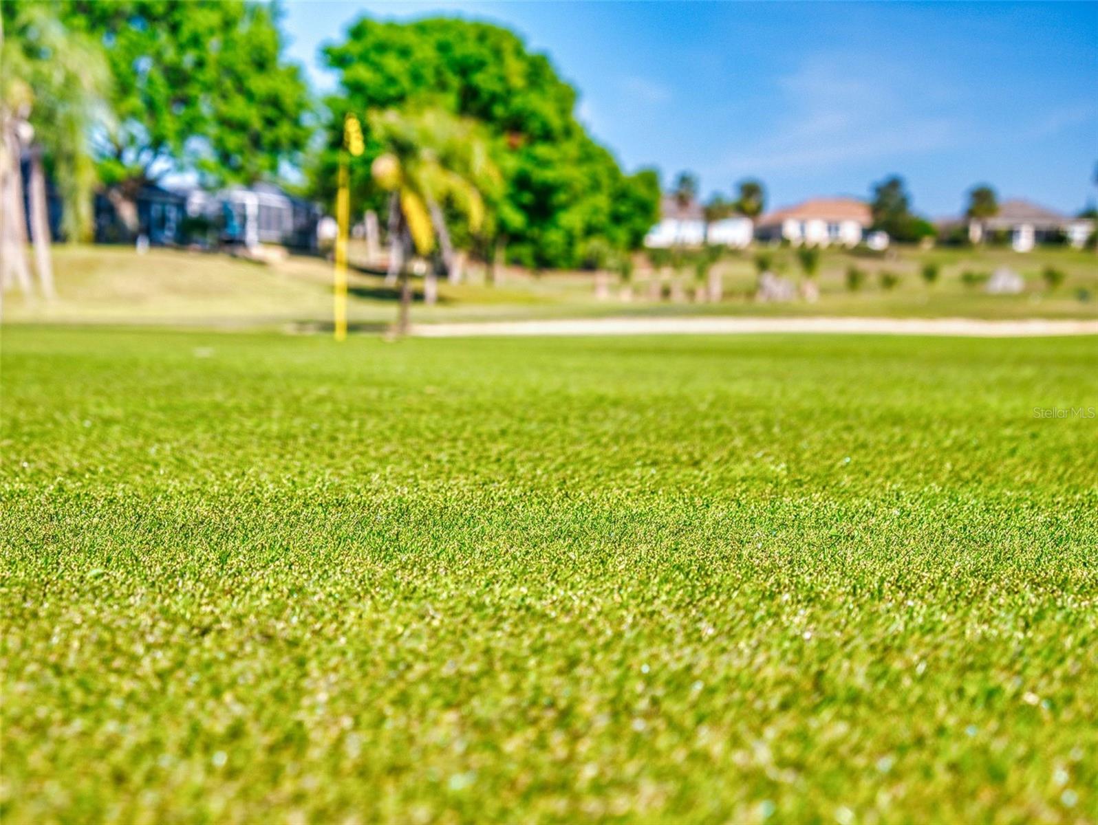 9172 SE 130TH LOOP, SUMMERFIELD, FL, 34491