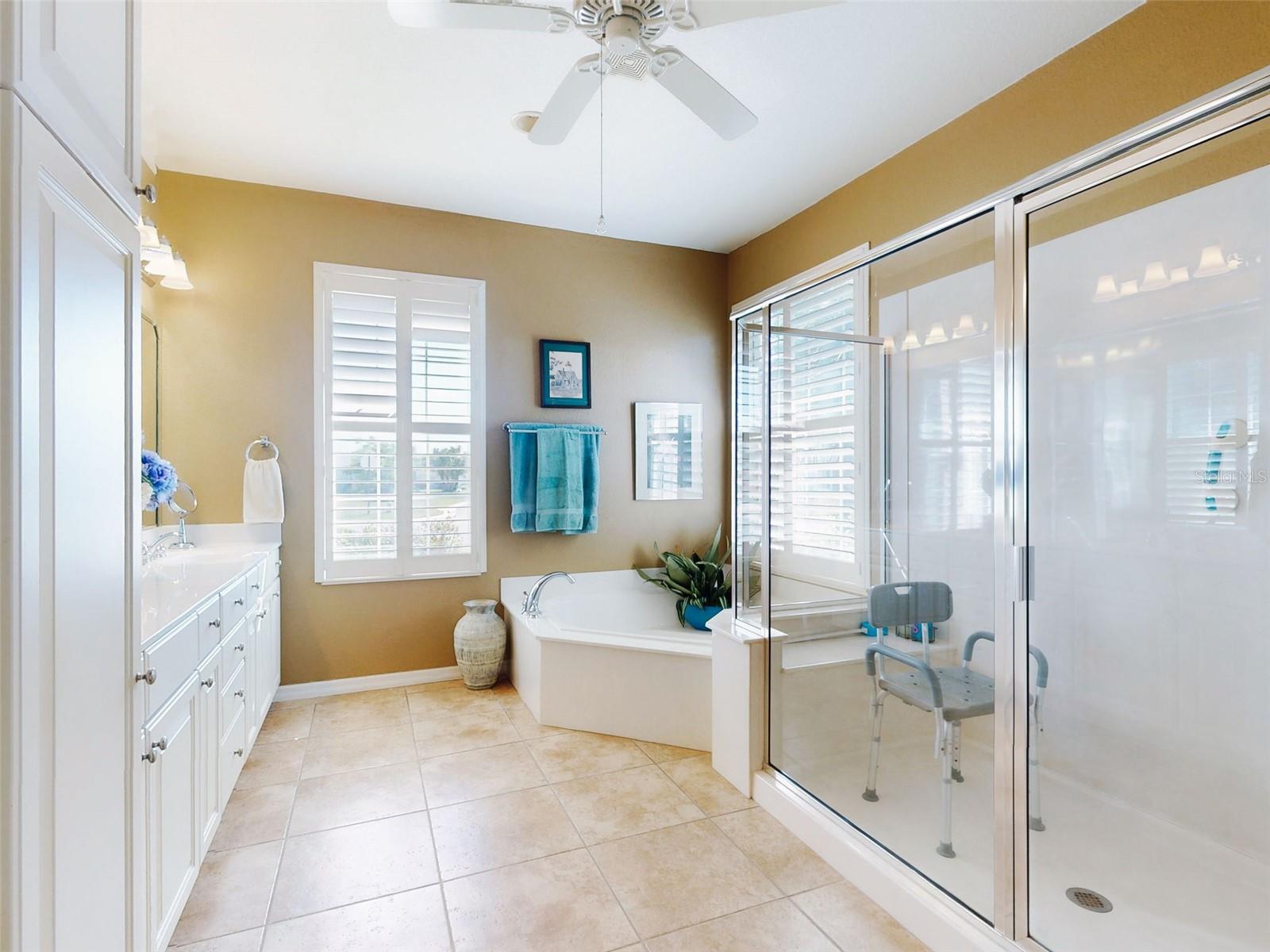 9172 SE 130TH LOOP, SUMMERFIELD, FL, 34491