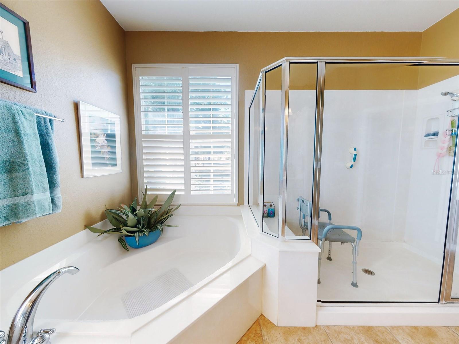 9172 SE 130TH LOOP, SUMMERFIELD, FL, 34491