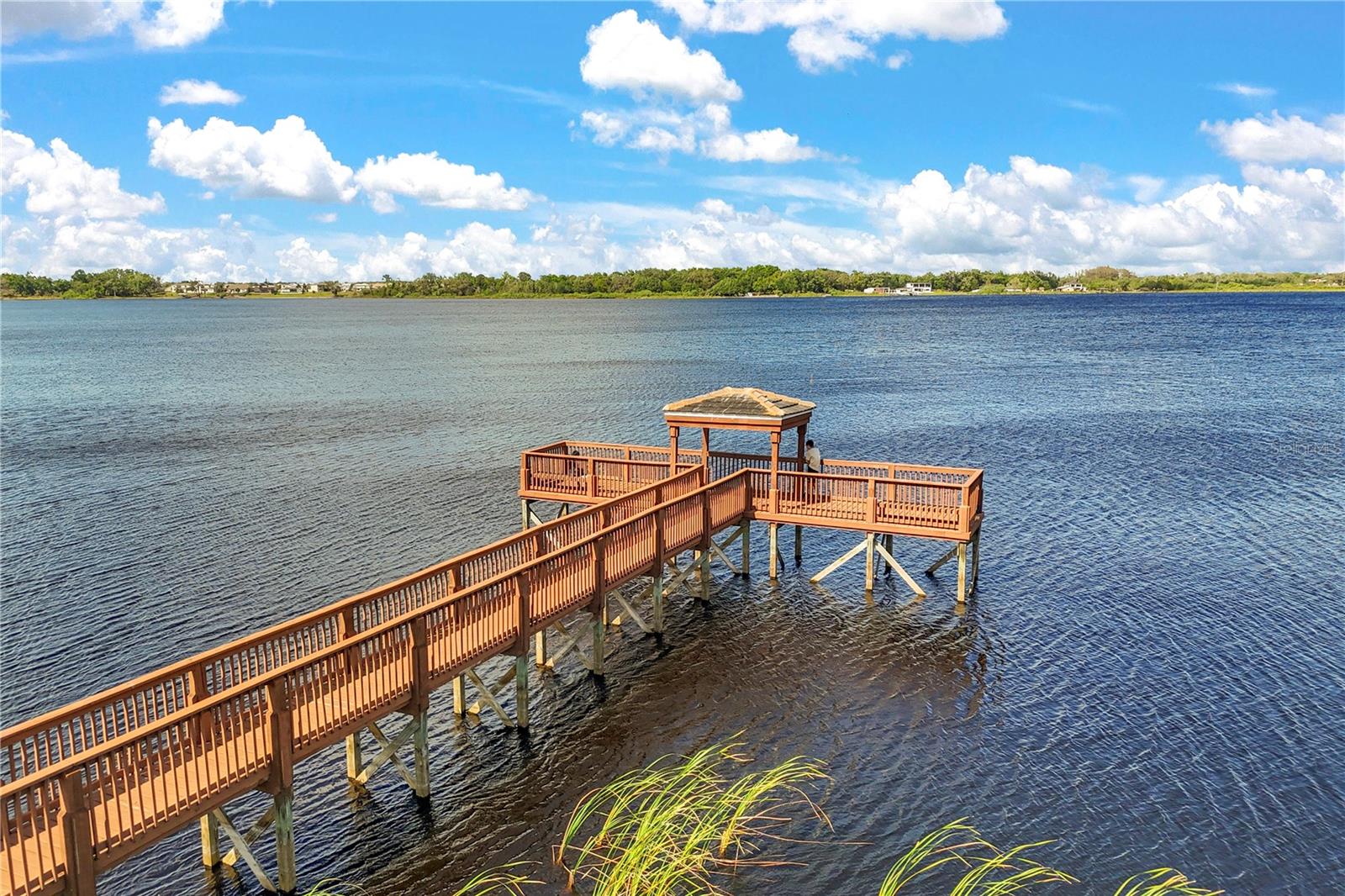 13115 FOX GLOVE ST, WINTER GARDEN, FL, 34787