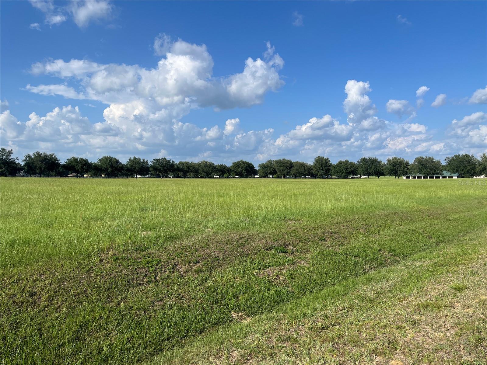 TBD 54 LOOP, OCALA, FL, 34482