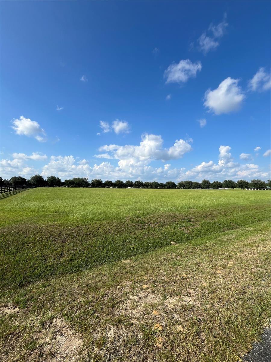 TBD 54 LOOP, OCALA, FL, 34482