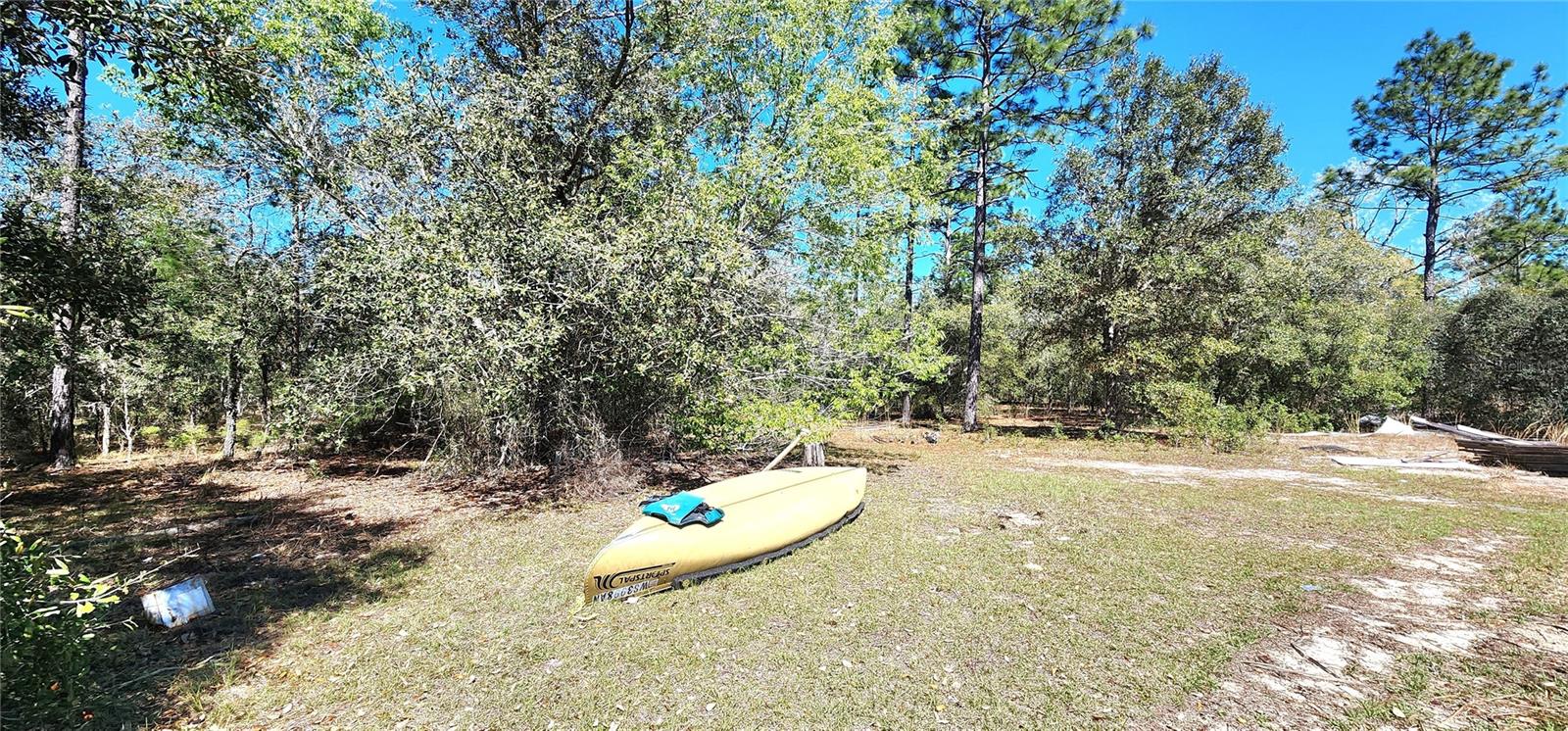 1651 NE 120TH AVE, WILLISTON, FL, 32696
