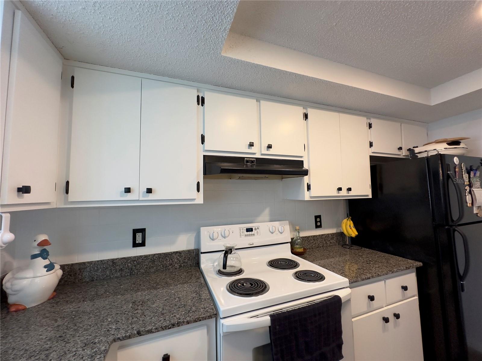 11615 NATURE TRL, PORT RICHEY, FL, 34668