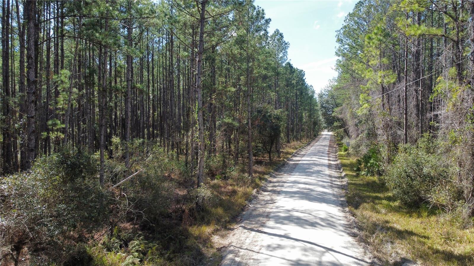 TBD NE 22ND LN, HAWTHORNE, FL, 32640