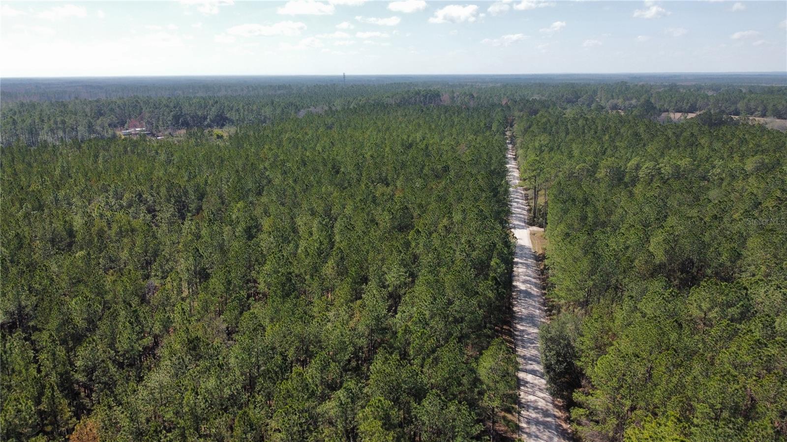 TBD NE 22ND LN, HAWTHORNE, FL, 32640